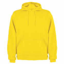 SUDADERA CAPUCHA (25...