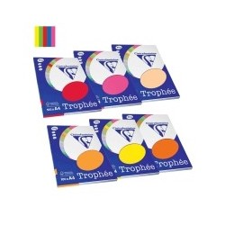 100H PAPEL TROPHEE A4 80G...