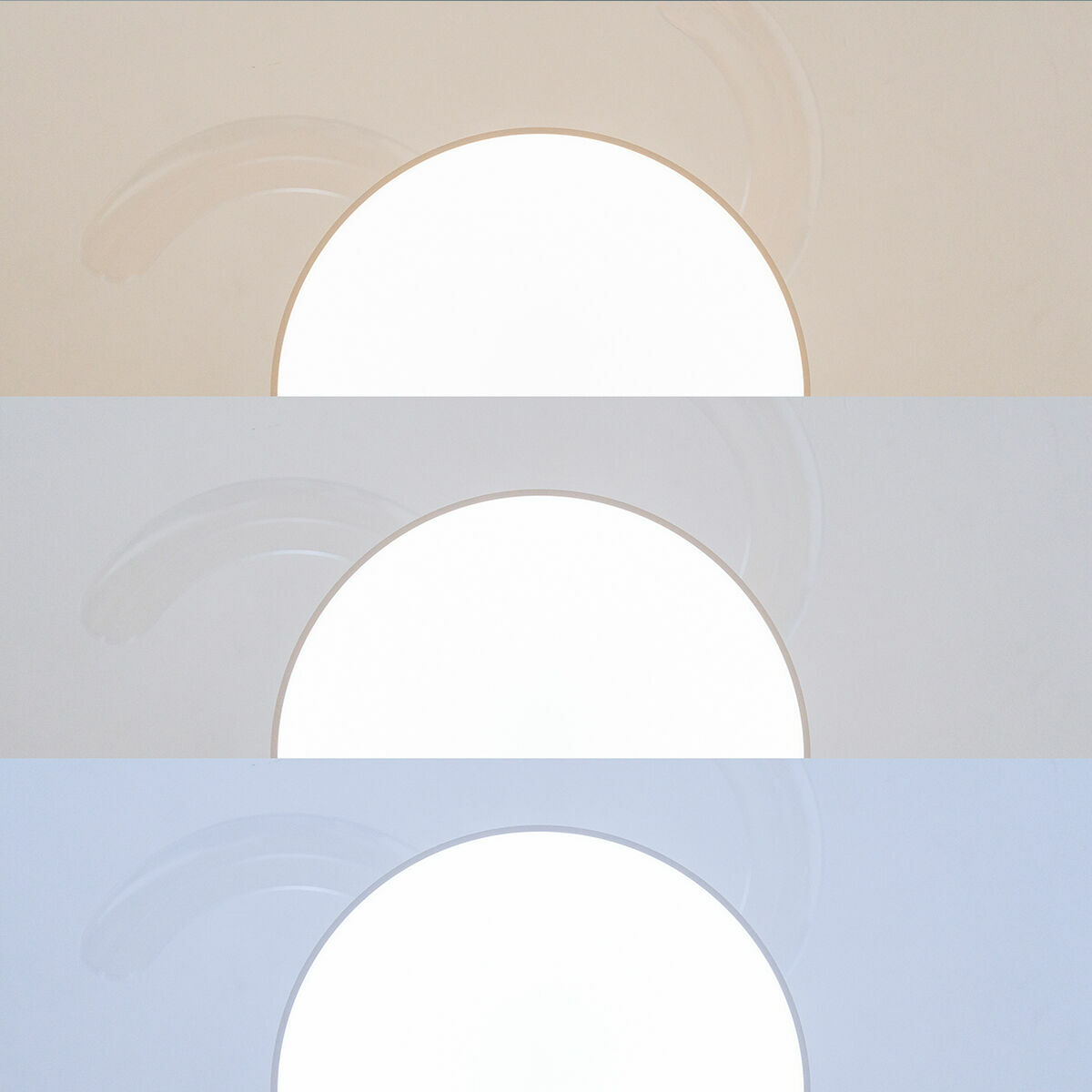 V0103955_3