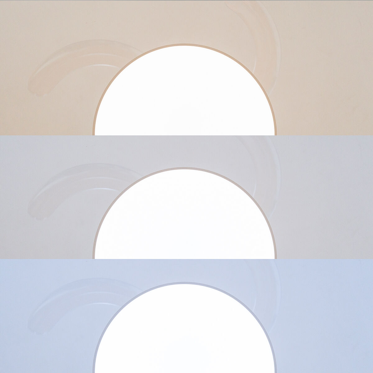 V0103955_14